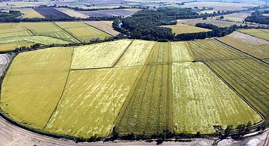 Tunca Nehri'nde yatak temizliği yapılıp, su biriktirme alanları oluşturuluyor