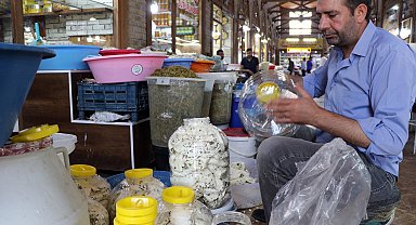 Van'ın otlu peyniri Avrupa'dan tescil beklerken, 4 ürün daha coğrafi işaret belgesi aldı