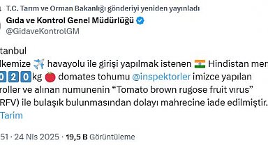 Virüslü domates tohumu iade edildi
