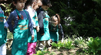 Yağmur suyuyla sebze yetiştiren anaokulu öğrencileri, kendi yemeklerini hazırlıyor