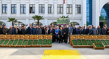 Yalova'da çiftçilere 375 bin adet salatalık ve biber fidesi dağıtıldı