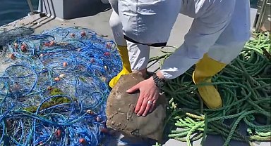 Yasağa rağmen 'kalkan' avlayan balıkçıların ağlarına el konuldu, balıklar suya salındı