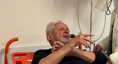 Zeytinlikte ayı saldırısında yaralandı