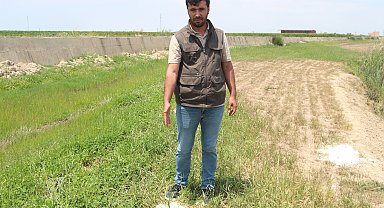 77 küçükbaş zehirlenerek öldü