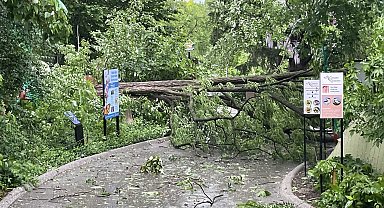 ABD'de fırtına: 5 kişi hayatını kaybetti