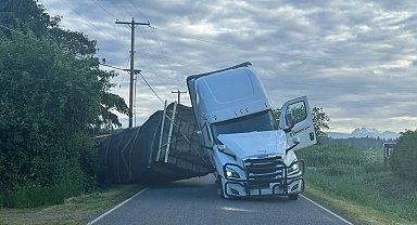 ABD'de kamyon devrilmesi sonucu 250 milyon arı serbest kaldı