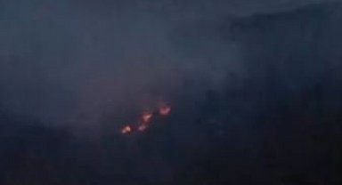 Adana'da 2 farklı noktada çıkan orman yangını kontrol altına alındı