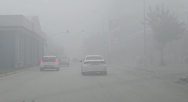 Adana'da sis etkili oldu