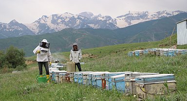 Adanalı çiftin 27 yıldır Yüksekova'ya 'arı' yolculuğu