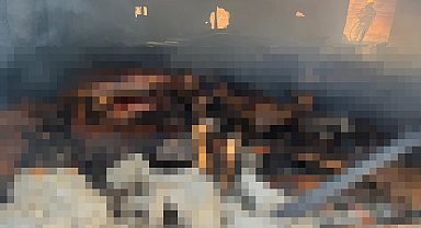 Ağılda çıkan yangında 42 küçükbaş öldü