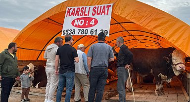 Ankara'da kurban pazarlarında yoğunluk
