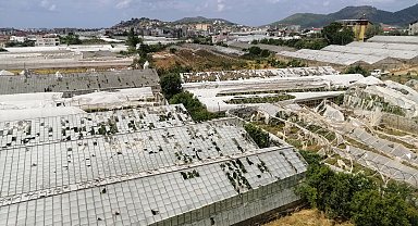 Antalya'da dolu ve hortumun vurduğu tarım alanlarında yaralar sarılmaya çalışılıyor