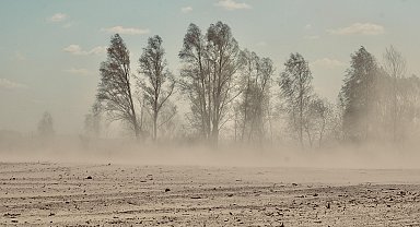 Arap ülkeleri kum fırtınasının etkisi altına girdi