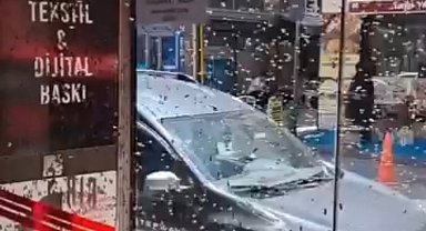 Arılar iş hanının girişine oğul verdi