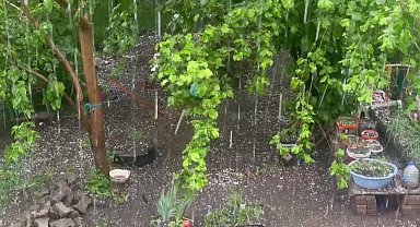 Artvin'de dolu; tarım arazileri zarar gördü