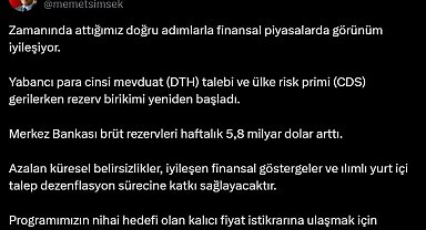 Bakan Şimşek: Finansal piyasalarda görünüm iyileşiyor