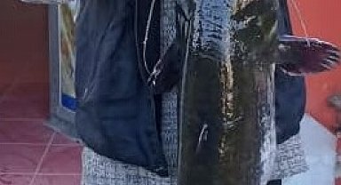 Balıkesir'de metruk binada yangın: 1 kişi ve 1 köpek öldü