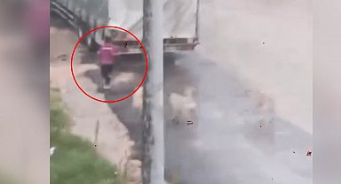 Başıboş köpeklerin çocuğu kovaladığı anlar kamerada