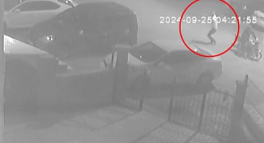 Batman'da iş yeri kurşunlayan ve adam kaçıran suç örgütü çökertildi: 9 tutuklama