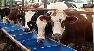 Bayram öncesi 'Bir tıkla bağış değil, tuzağa düşüyorsunuz' uyarısı