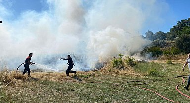 Bodrum'da ot yangınında 5 dönüm alan zarar gördü
