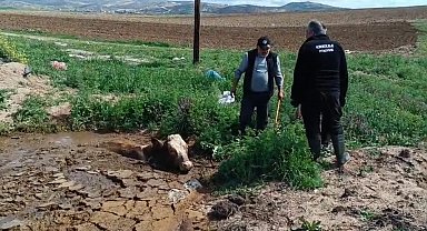 Çamura batan ineği itfaiye kurtardı