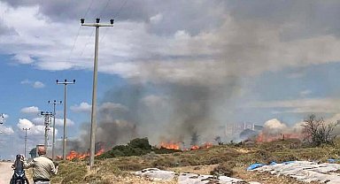 Çanakkale'de otluk yangını