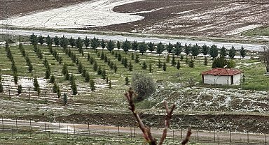 Çankırı'da sağanak ve dolu; 8 bin dönüm tarım alanı zarar gördü