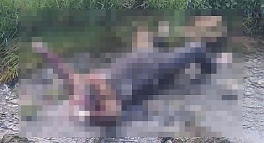 Cezaevinden izinli çıktı, dere yatağında ölü bulundu