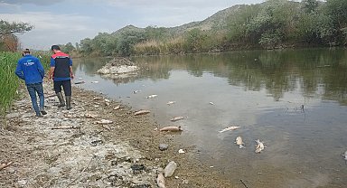 Çorum'da Kızılırmak Nehri'nde balık ölümleri