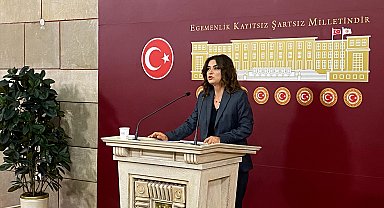 DEM Parti'li Koçyiğit: 10'uncu Yargı Paketi mutlaka bayramdan önce Meclis'ten geçmeli