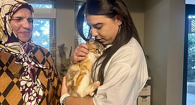 Depremzede kedi 'Defne'ye 2 yıl sonra yuva