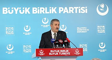 Destici: Genel affa karşıyız