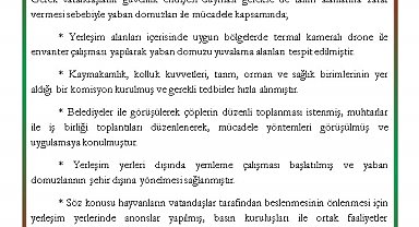 DKMP'den 'yaban domuzu' açıklaması
