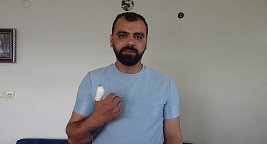 Doktora saldırdığı gerekçesiyle gözaltına alınan şüpheli de şikayetçi oldu