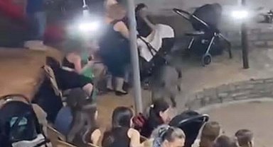 Düğündeki kalabalığın arasına giren domuz kamerada