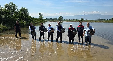 Düzce'de Osmanlı Dönemi'nden bu yana yetiştirilen çeltik ekimi başladı