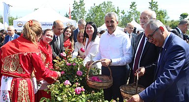 Edirne gülü, törenle hasat edildi