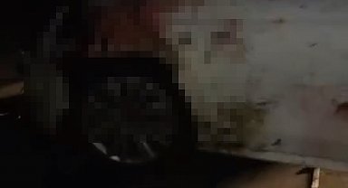 Elazığ'da otomobilin çarptığı 15 koyun öldü