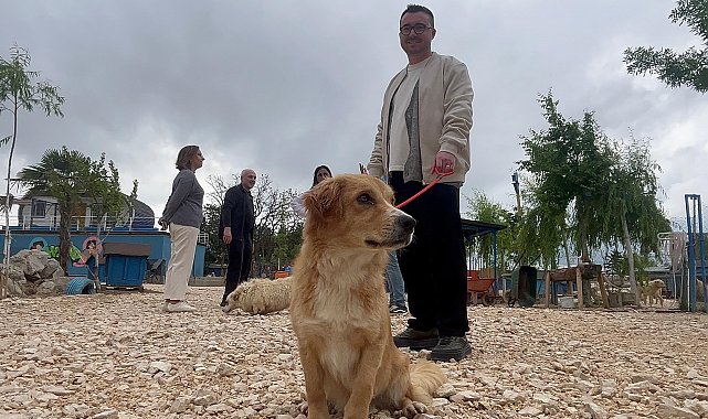 Emekli Hayvanlar Çiftliği'nde terk edilen canları günübirlik sahipleniyorlar