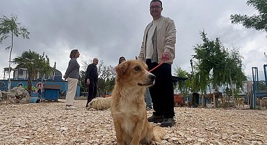 Emekli Hayvanlar Çiftliği'nde terk edilen canları günübirlik sahipleniyorlar