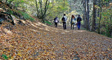 Eskişehir ve Afyonkarahisar'da ormanlara girişler 15 Haziran'dan itibaren yasak