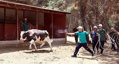 Gaziantep'te 'kurban yakalama timi' göreve hazır