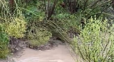 Gümüşhane'de hafif ticari araç dereye devrildi: 1 ölü, 4 yaralı