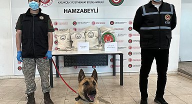 Hamzabeyli'de 50 kilo uyuşturucuyu 'Bodri' buldu