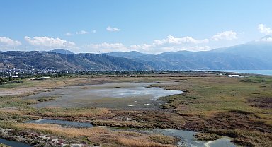 Hatay'daki Milleyha Sulak Alanı'nda bu yıl 12 yeni kuş türü gözlendi