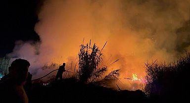 Hatay'daki sazlık yangını söndürüldü