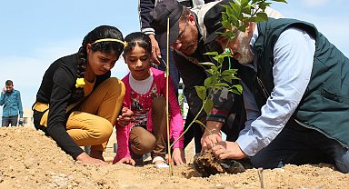 İHH yetimler için 160 bin fidan dikti