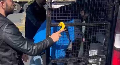 İstanbul - Bayrampaşa'da eski eşinin üzerine otomobilini sürdü