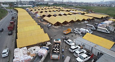 İstanbul- Kurbanlıklar İstanbul'a geldi; ilk satışlar yapıldı